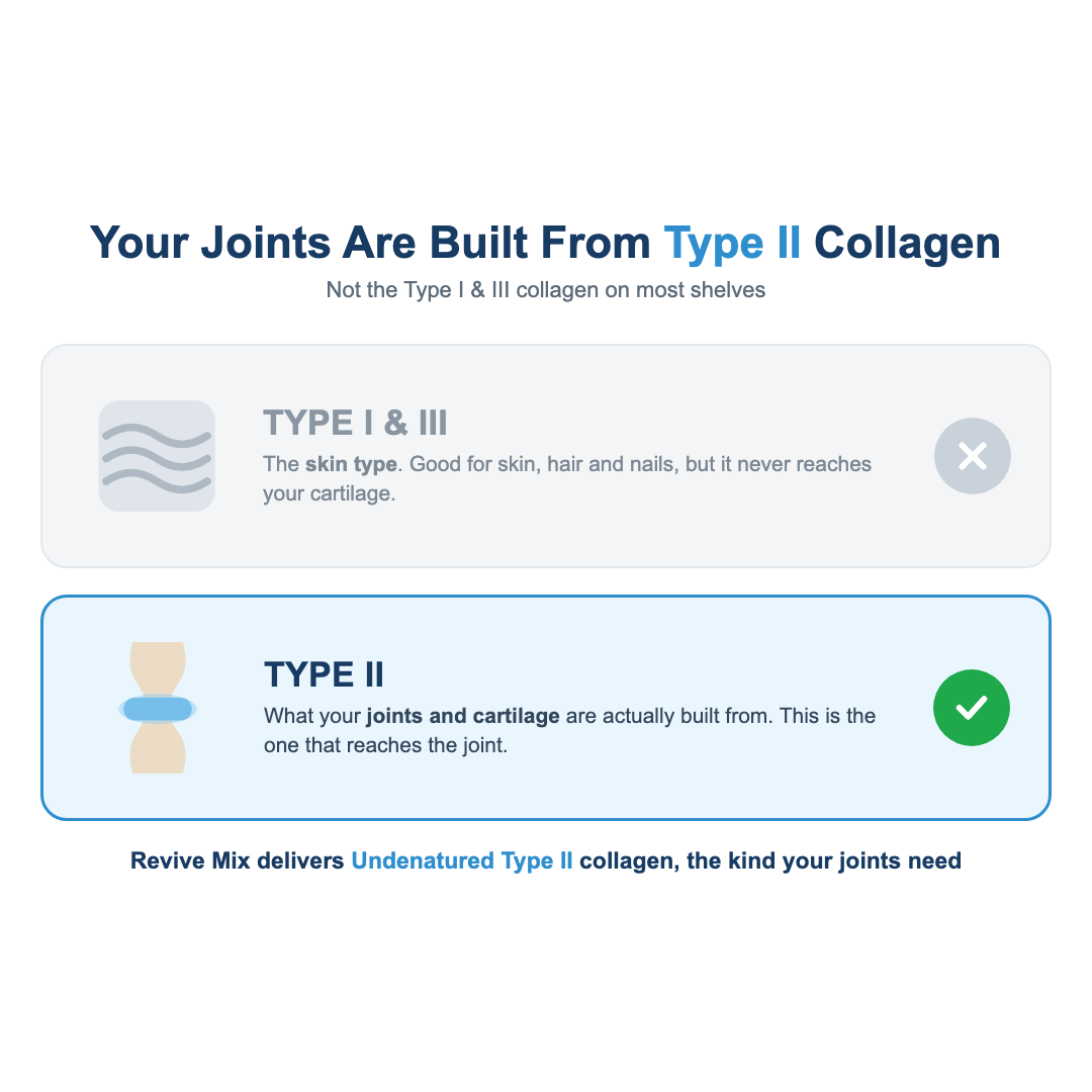 Revive Mix — Type 1,2,3 Collagen, MSM, Hyaluronic Acid + FREE Packet